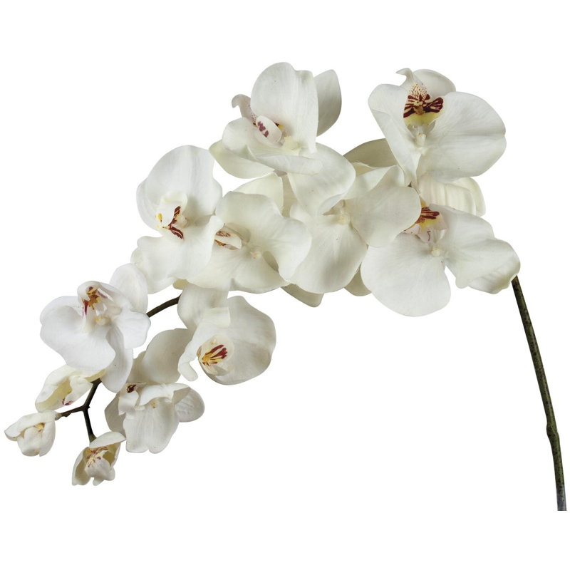 Orchid Arrangement, 36" H x 6" W x 15" D, Cream
