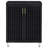 2-Door Storage Cabinet-1769763107