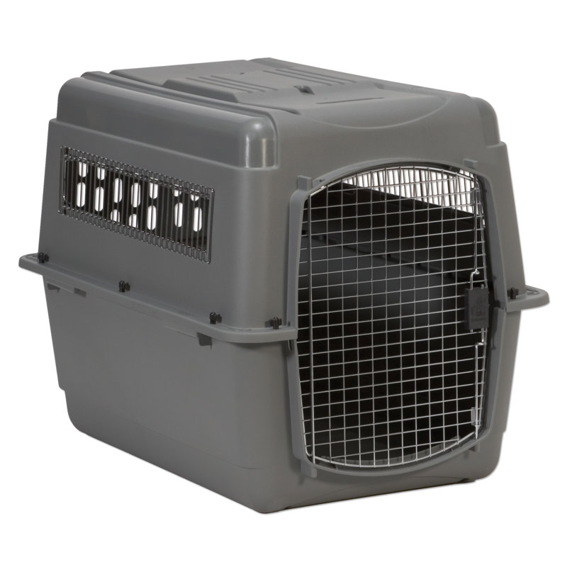 Gray Airline Approved Plastic Pet Carrier with Wire Door
