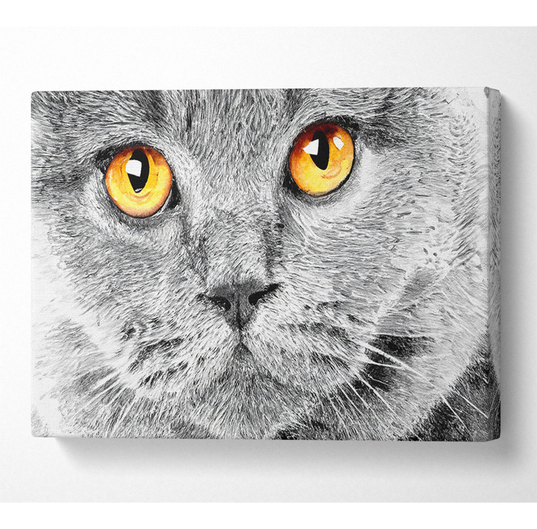 Serious Grey Cat - Druck