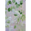 Ensemble de 3 impressions de lilas blancs par l'artiste local Janet Burrows-67516306-67516308