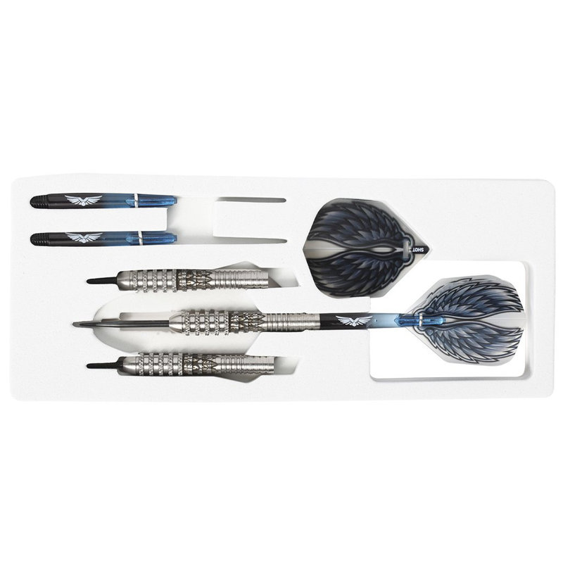 21g Steel Tip Tungsten Professional Dart Set
