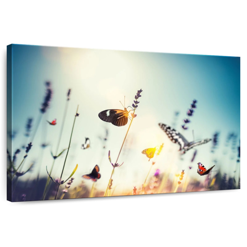 Brampt Butterfly Garden, 20" H x 30" W