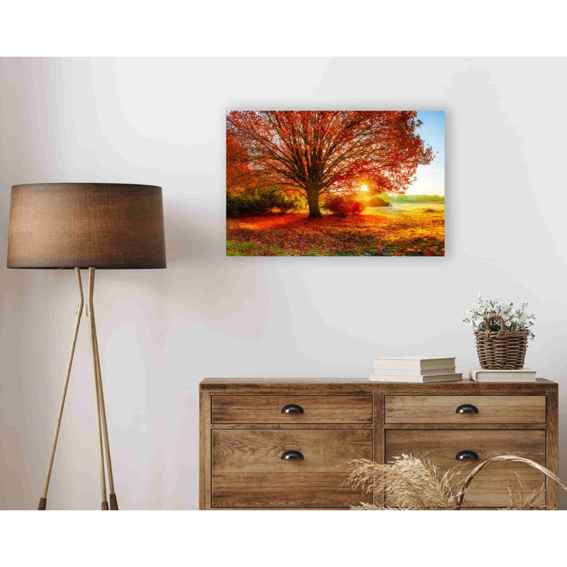 " Fall Forest ", 24" H x 36" W x 1.5" D