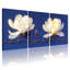 Fleurs de magnolia sur fond, ensemble de 3 impressions d'art sur toile-1378534977