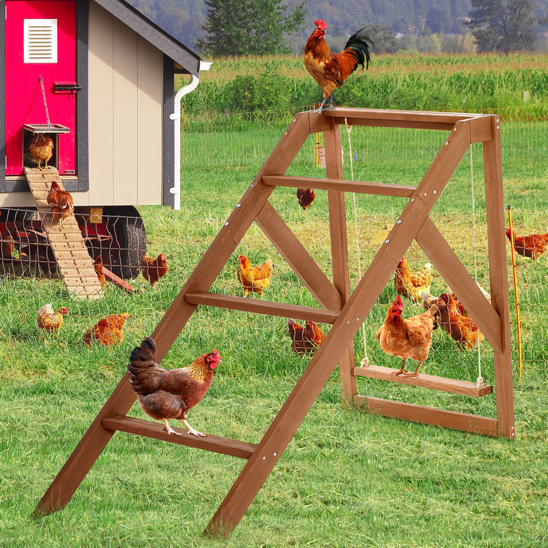 Ensemble Ellzy pour animaux de compagnie en santé et heureux, 4 perchoirs avec balançoire pour 8 à 10 poussins, jouets pour poulets pour accessoires de poulailler