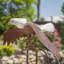 Piquet de jardin Flying Eagle