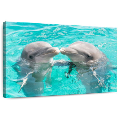 Dolphins Kissing