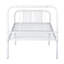 Haygazun Bed-36048871-48173918