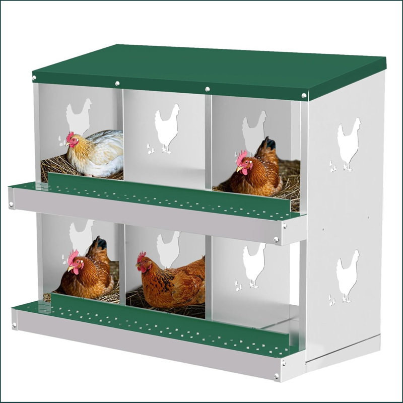 Archie & Oscar™ 6 Compartment Metal Chicken Nesting Boxes For Chicken ...