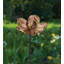 Piquet de jardin en fonte - Coquelicot