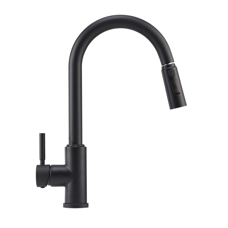 Breeins Kitchen Faucet