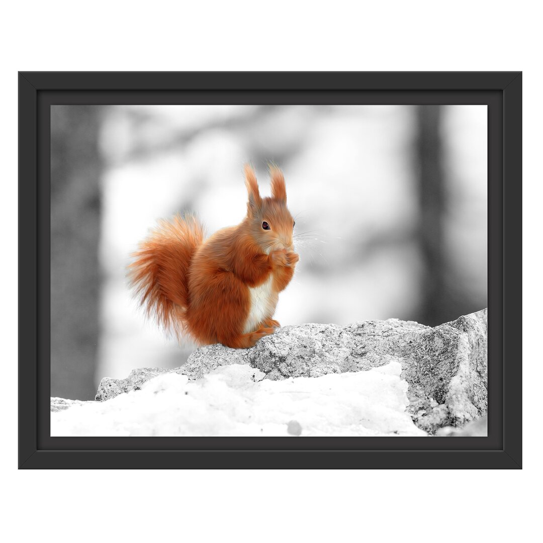 Gerahmtes Wandbild Eichhörnchen in verschneitem Wald