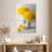 Harnek Daffodil Blooms-108234162