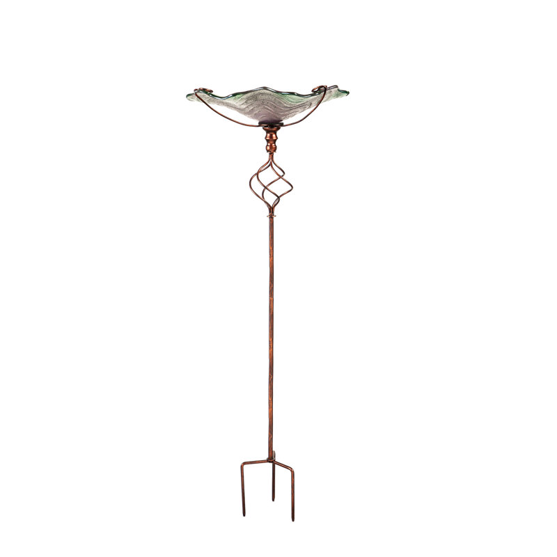 Bain d'oiseaux Amron, Mauve / vert