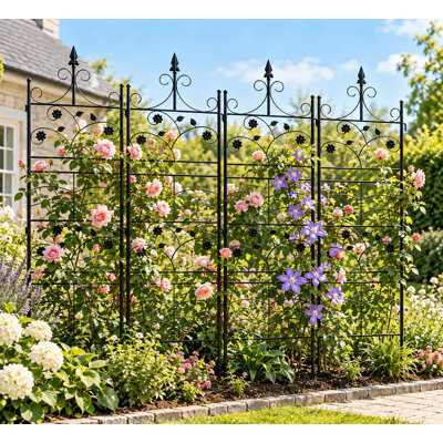 Garden Trellis 215 cm H x 50 cm W Iron Lattice Panel Trellis