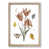 Oak Framed selected