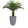 59.1'' Faux Palm Tree in Planter