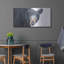 «Black Bear» par Diane Fifer-1714350543