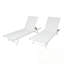 Ensemble de 2 chaises longues d'extérieur à structure en acier