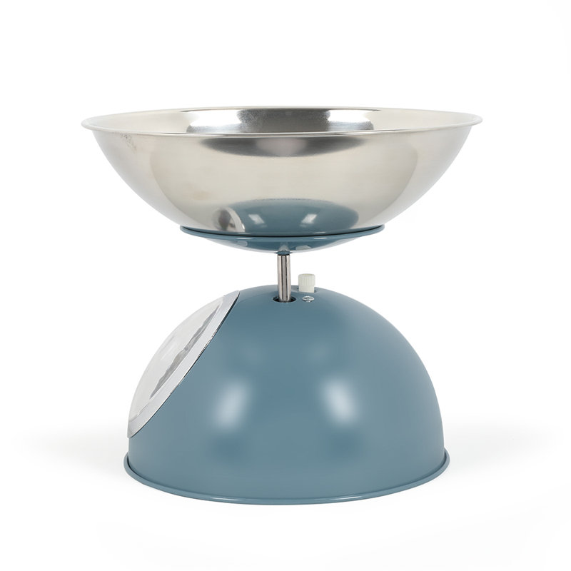 LIVOO Scale, Blue