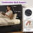 Full Size Modern Upholstered Bed Frame with Vertical Corduroy Headboard,Black-1470975466-1470975461