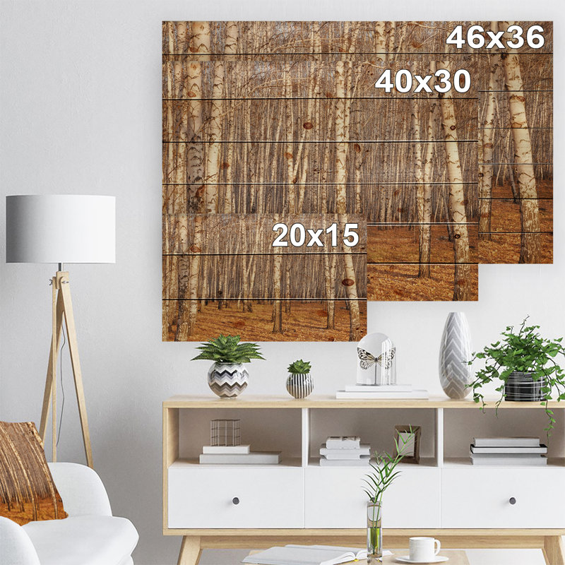 «Dense Birch Forest in the Fall», photographie, H 36 po x l 46 po x P 1,5 po, Bois