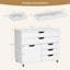 77 cm W 5 -Drawer Wheels / Casters included Mobile Filing Cabinet