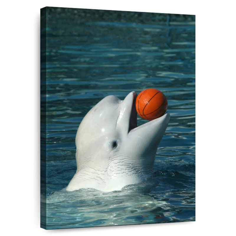 Beluga jouant au basketball, H 24 po x l 16 po