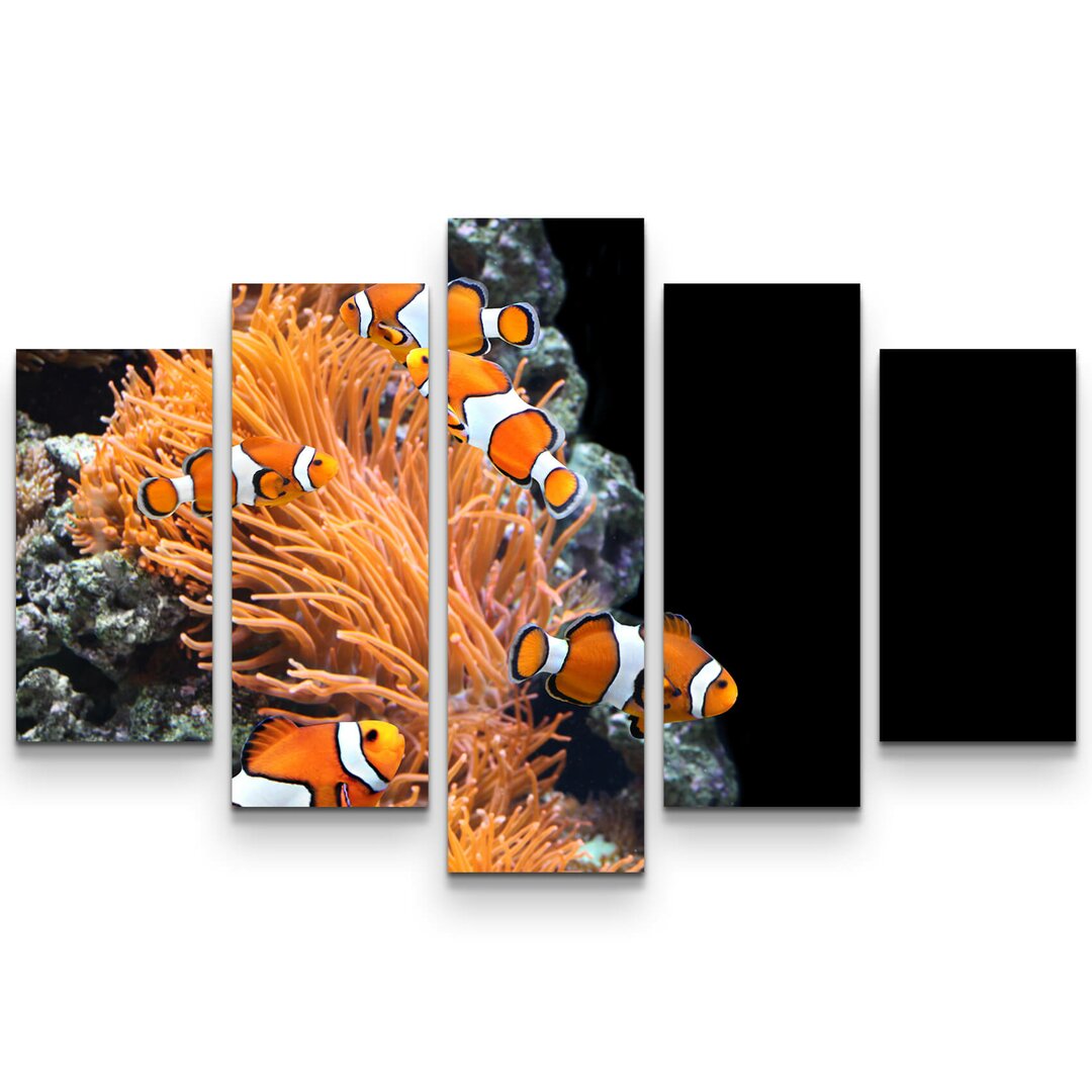 5-tlg. Leinwandbilder-Set Seeanemone und Clownfisch im Aquarium