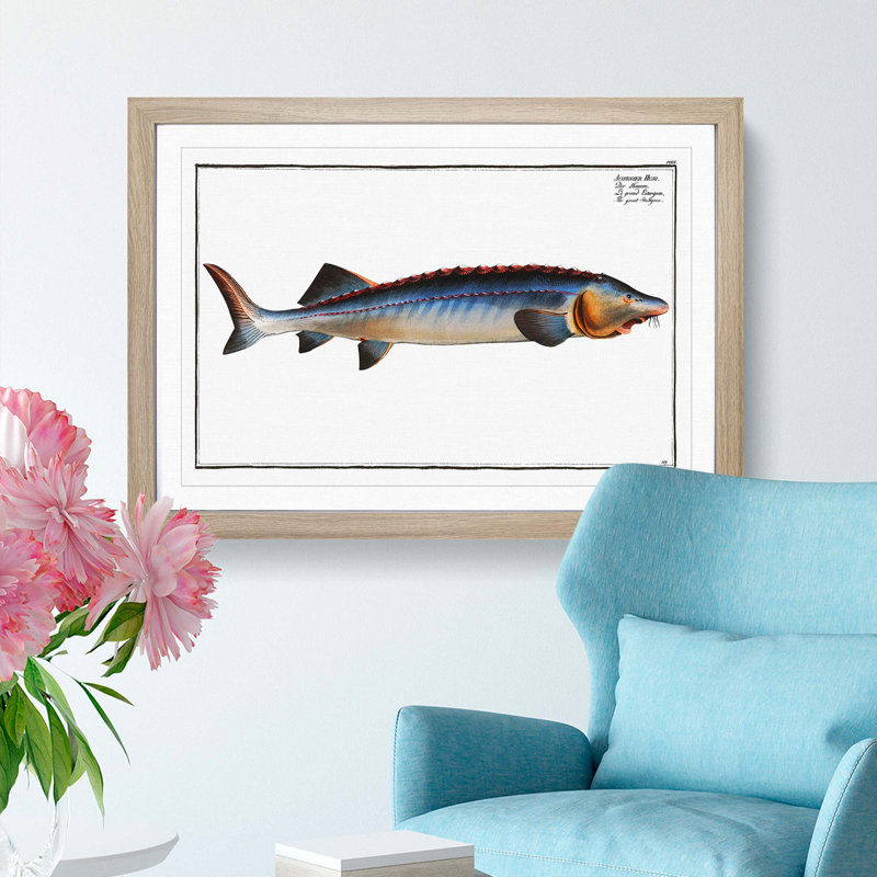 Great Sturgeon Fish by M.E. Bloch - Framed Print, 36cm H x 48cm W x 2cm D, Oak Framed