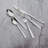 CIAN Sand Finish 20 Pieces Flatware Set