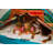 Pacific Play Tents 38'' W x 77'' D Indoor Polyester Play Tent