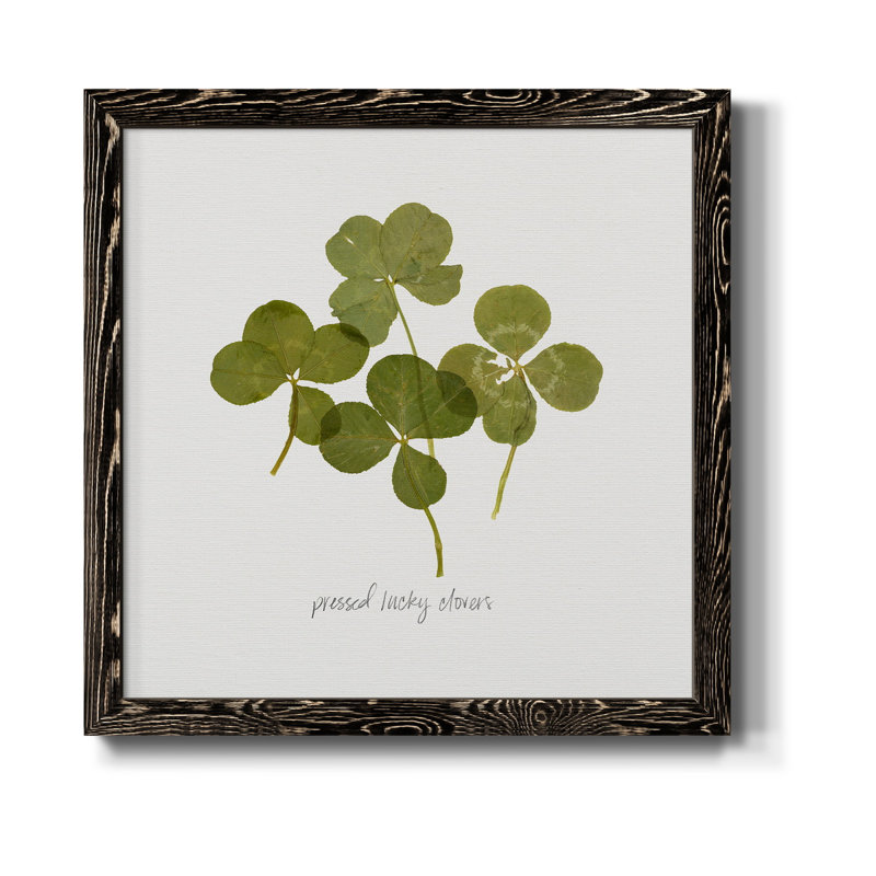 Toile encadrée Pressed Clover I-Premium - prête à être accrochée, Cadre noir, H 17 po x l 17 po x P 1,5 po