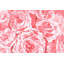 Wrapped Canvas Painting-34311832