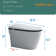 Modern luxury smart toilet with built-in bidet, water and drying function