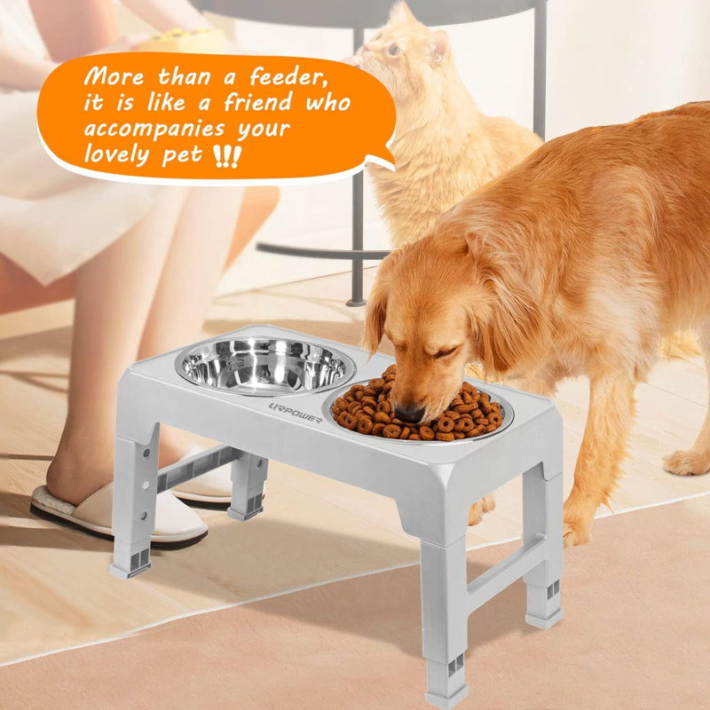 Elevated Feeder, Silver