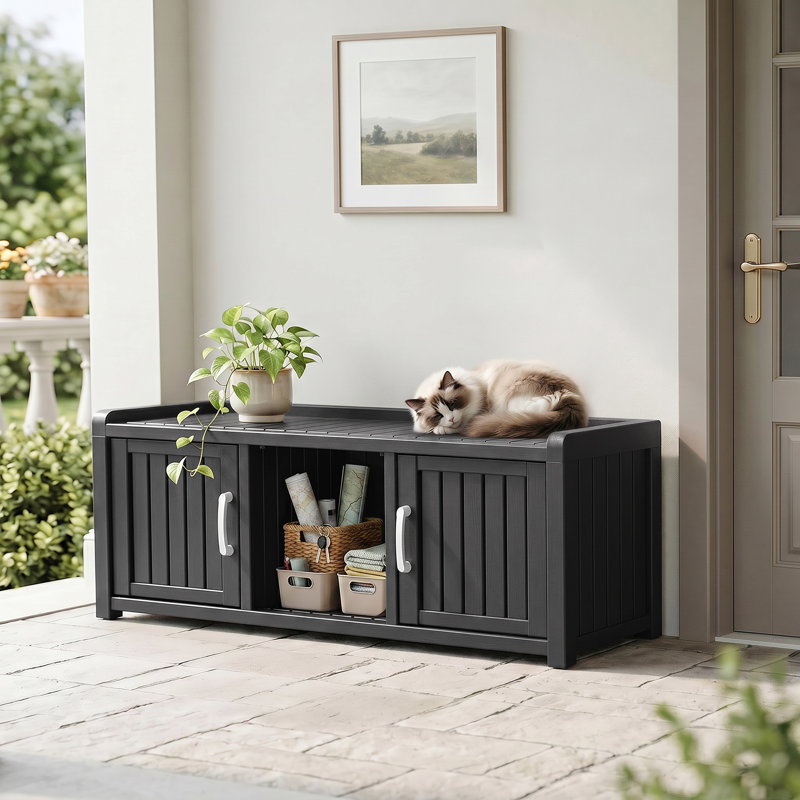 47" 2-Door Shoe Storage Cabinet, Black