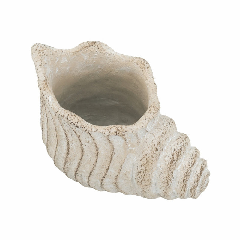 Conch Shell Shape Planter