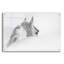 «White Horse» par PhotoINC Studio-801451719