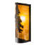 County Fair 1 - Light Outdoor Flush Mount