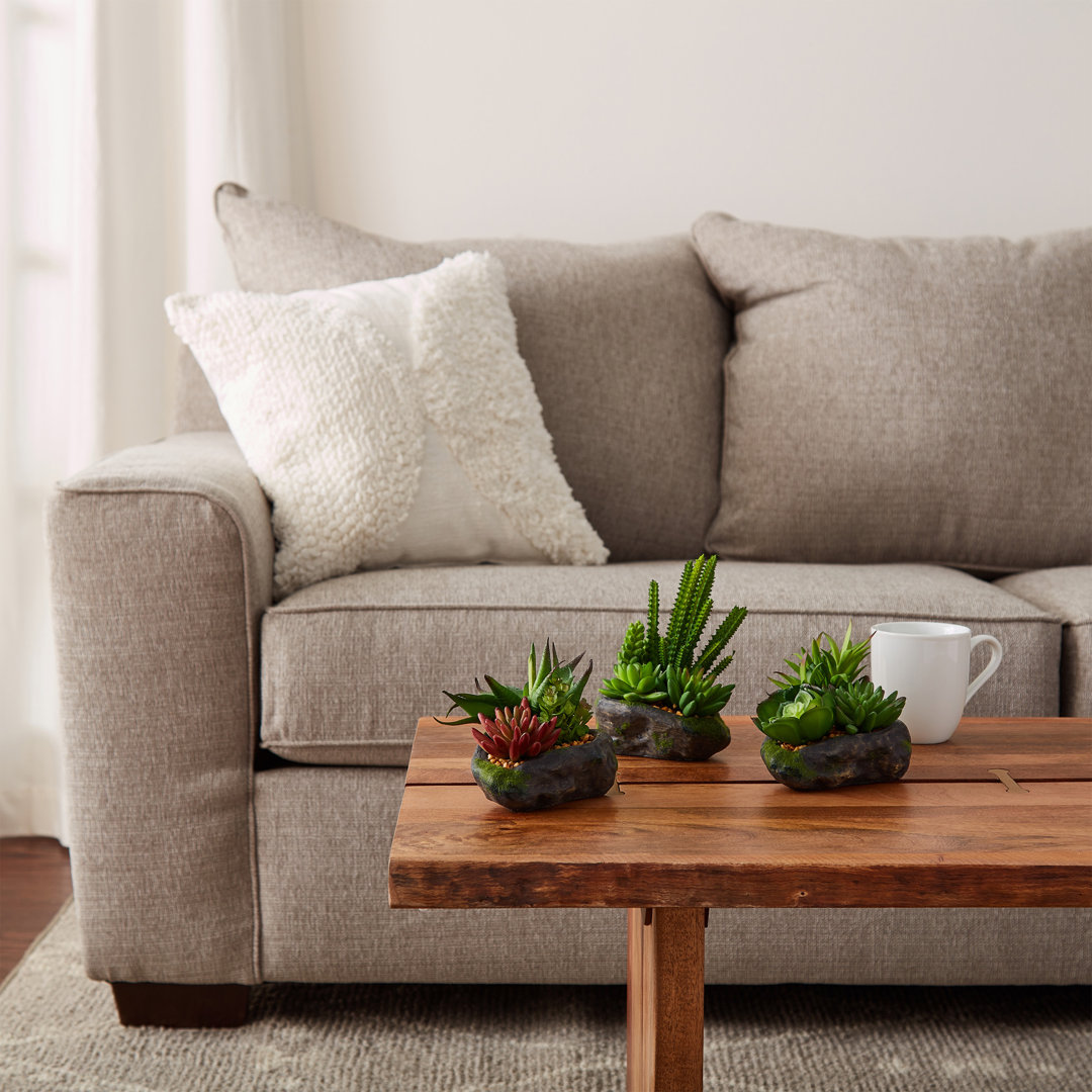 Artificial Succulent Plants - 3-Piece Arrangement Set in Faux Stone Pots and Assorted Sizes - Lifelike Greenery for Home Decoration Union Rustic