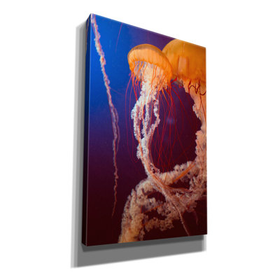 " Jelly 3 " by PhotoINC Studio