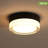 Compact 24W Flush Mount Ceiling Light With Sleek Black Glass Shade