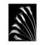 Dosta «Crystal Blush Calla Lilies» par Reproduction d'art graphique sur toile tendue-29225533