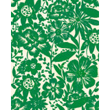 LUSH MONOCHROME Green