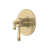 Antique Gold selected