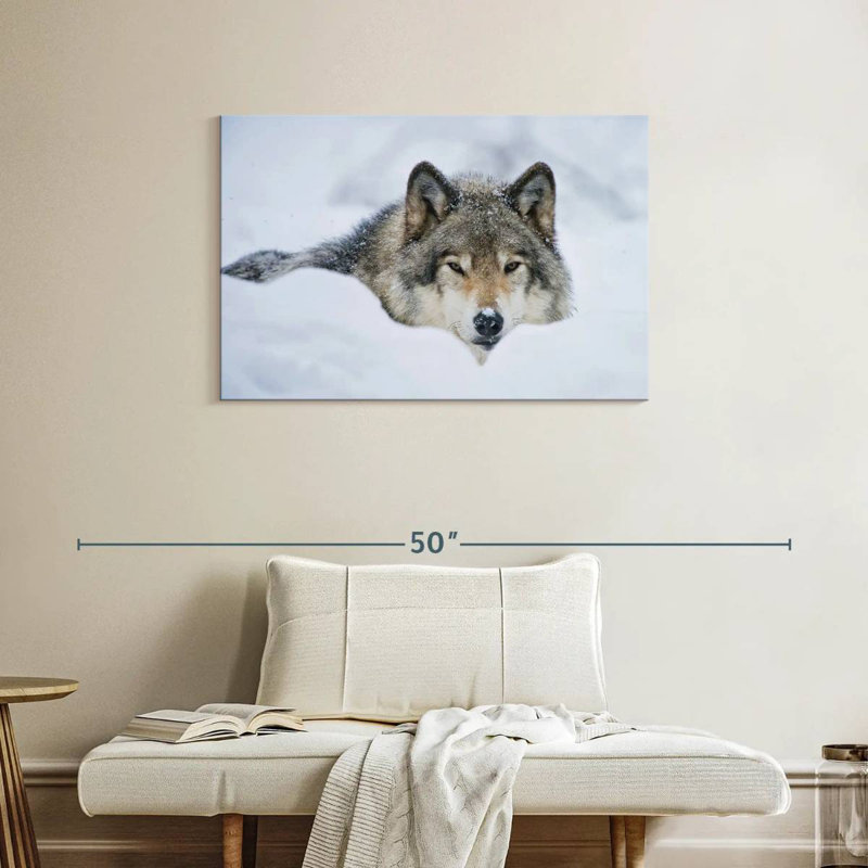 Brampt Wolf In Snow, 24" H x 36" W