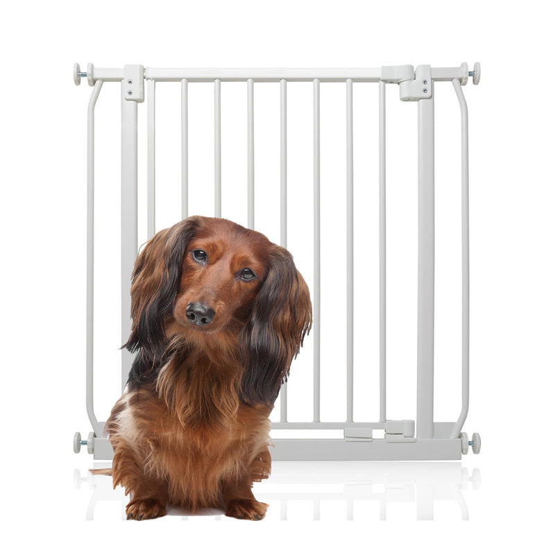Metal Pressure Mounted Pet Gate, 71cm - 80cm, White