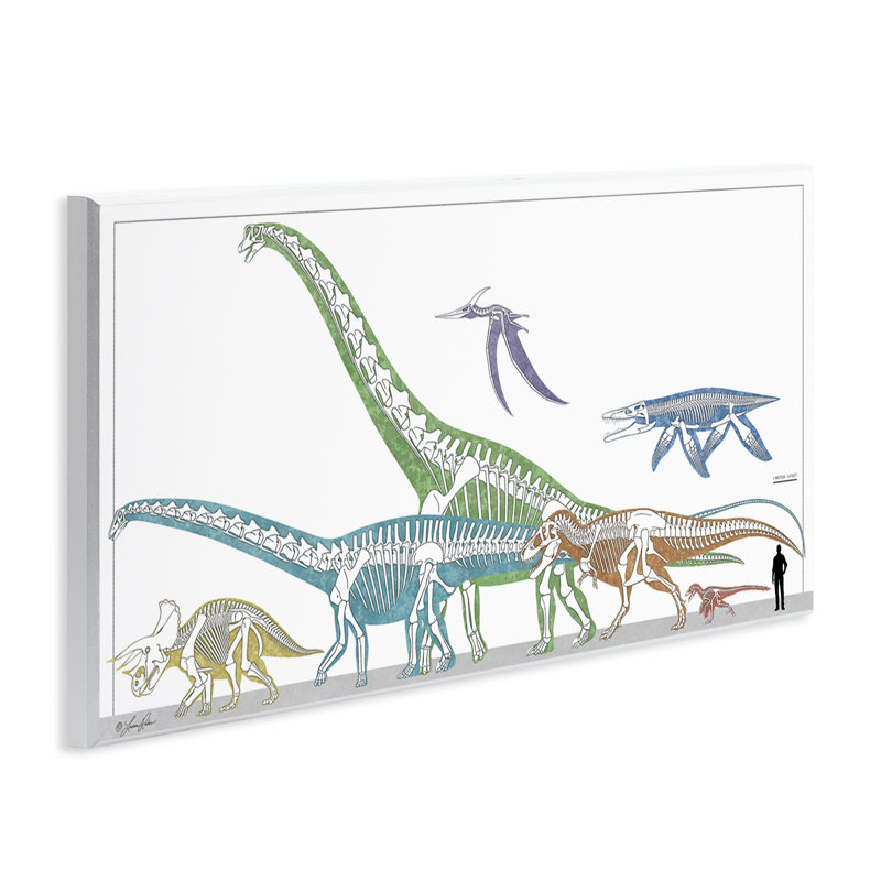  Art éducatif sur plaque squelette préhistorique par Lauren Rader